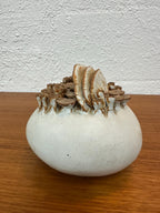 Mid Century Isabel Parks Sea Form Mushroom Studio Pottery Sculpture