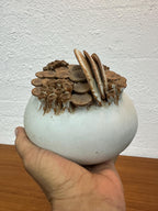 Mid Century Isabel Parks Sea Form Mushroom Studio Pottery Sculpture